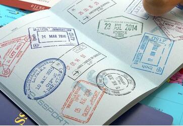 柬埔寨签证的进度怎么查？